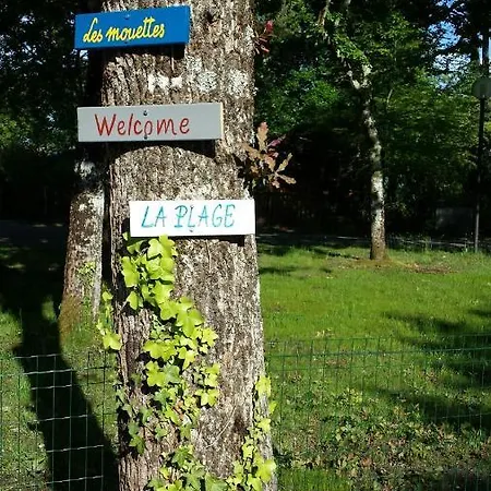 Salamandre Et Hippocampe Feriehus *