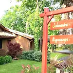 Salamandre Et Hippocampe Лантон