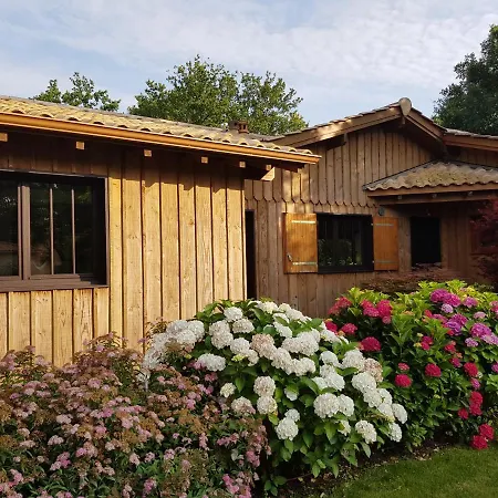 Vakantiehuis Salamandre Et Hippocampe