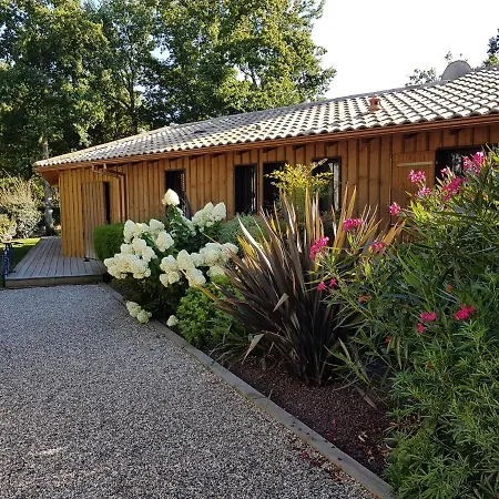 Salamandre Et Hippocampe *