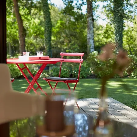 Salamandre Et Hippocampe Tatil Evi