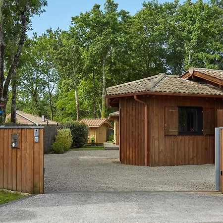 Salamandre Et Hippocampe Lanton