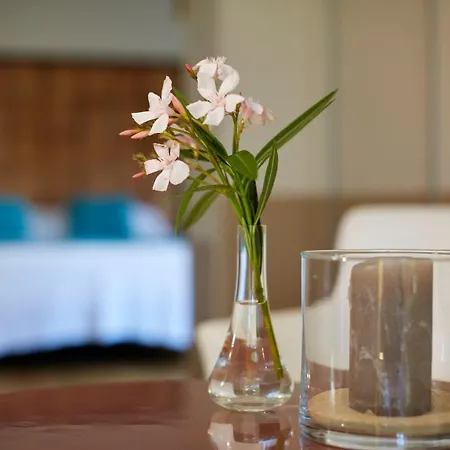 Salamandre Et Hippocampe Tatil Evi