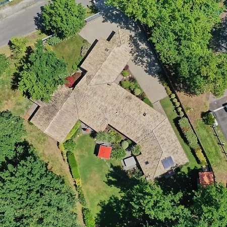 Salamandre Et Hippocampe Lanton