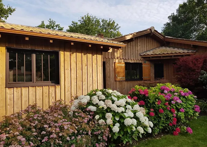 Vakantiehuis Salamandre Et Hippocampe