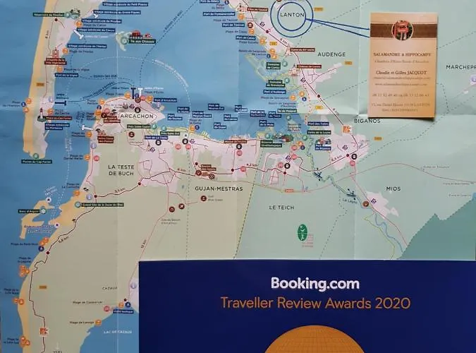 Salamandre Et Hippocampe *