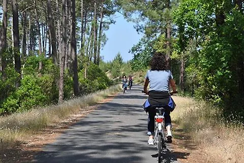 Salamandre Et Hippocampe