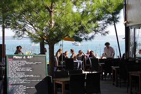 Salamandre Et Hippocampe Lanton