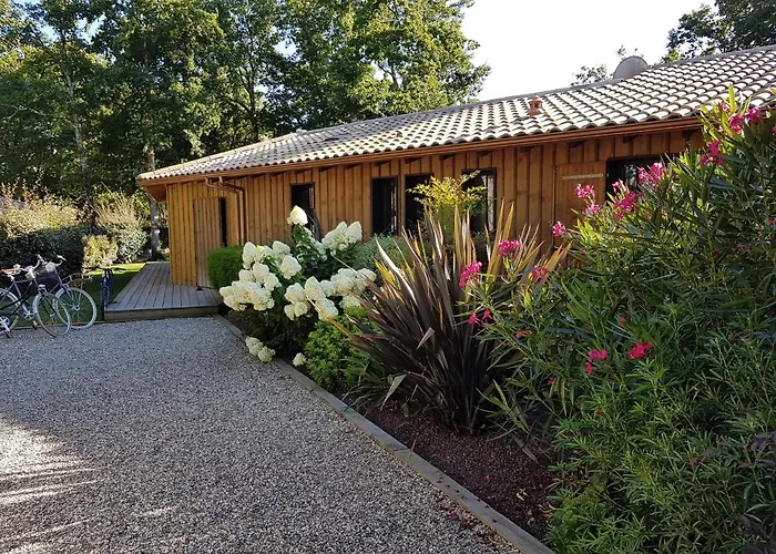 Salamandre Et Hippocampe *