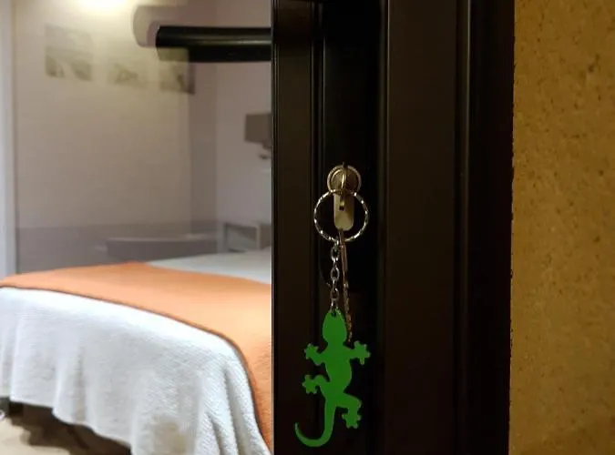 Salamandre Et Hippocampe