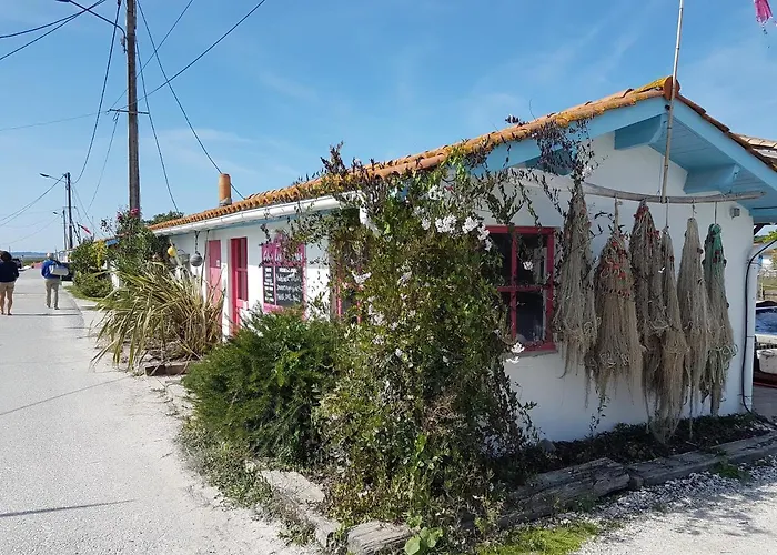 Salamandre Et Hippocampe