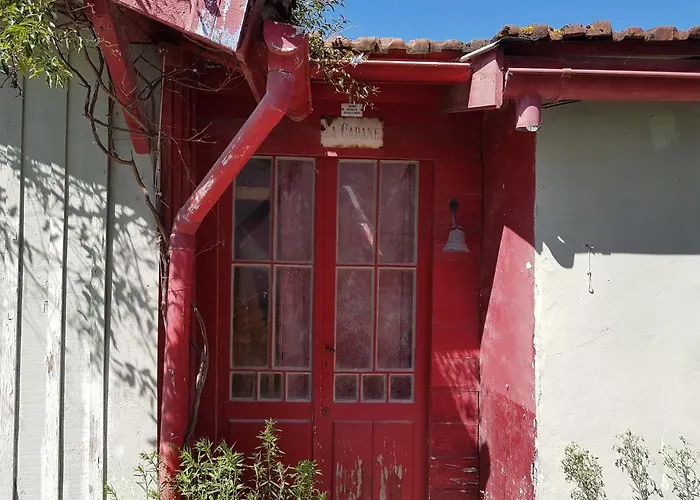 Salamandre Et Hippocampe