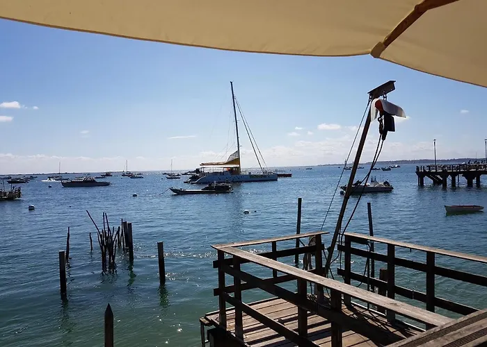 Salamandre Et Hippocampe