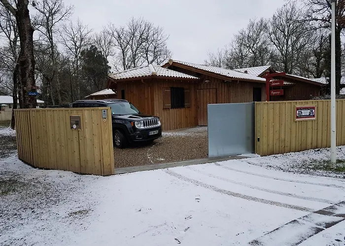 Salamandre Et Hippocampe *