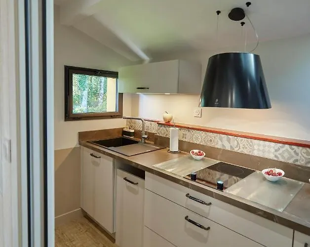 Salamandre Et Hippocampe *