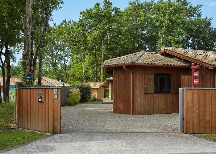 Salamandre Et Hippocampe Lanton