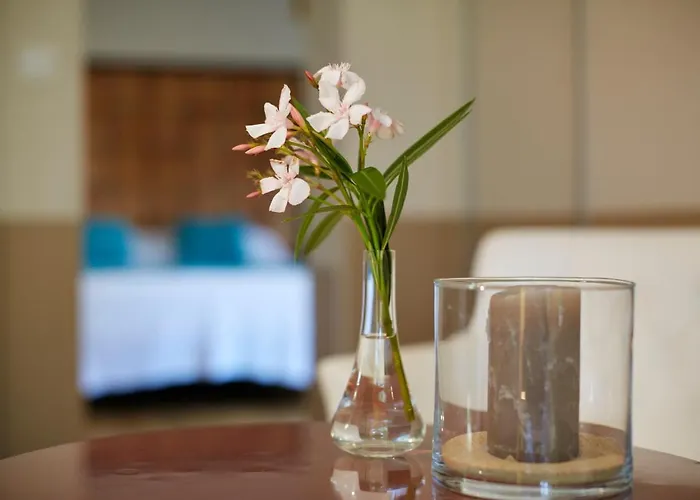 Salamandre Et Hippocampe Tatil Evi