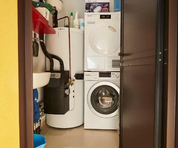 Salamandre Et Hippocampe *