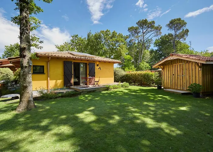 Salamandre Et Hippocampe * Lanton